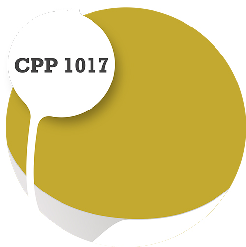 Cpp1017