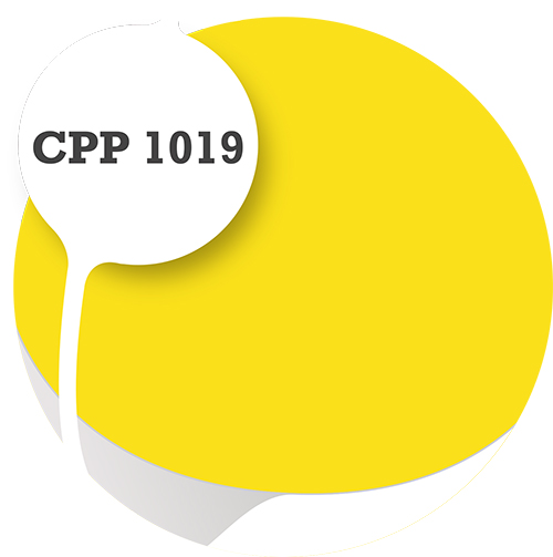 Cpp1019