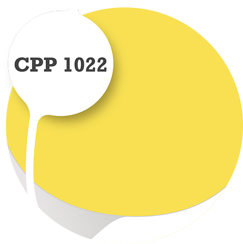 Cpp1022