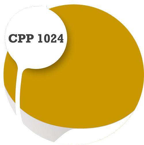 Cpp1024