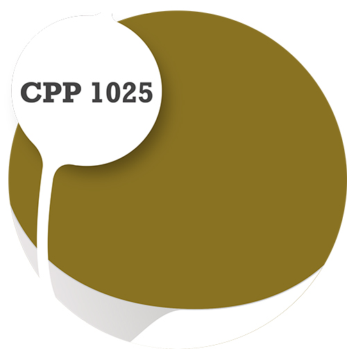 Cpp1025