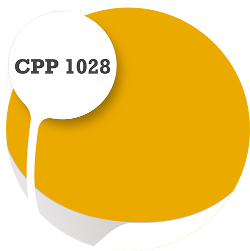 Cpp1028