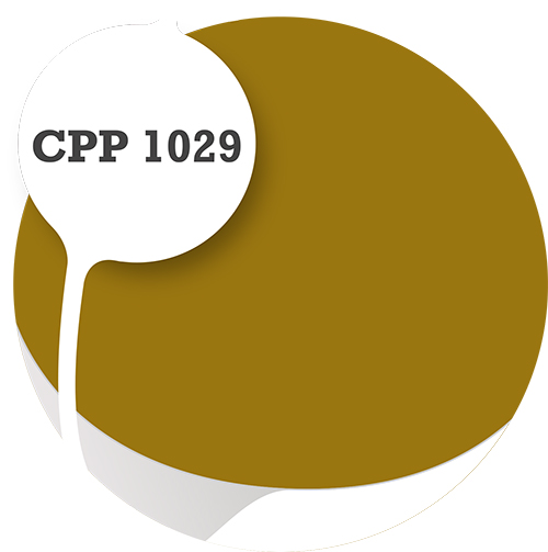 Cpp1029