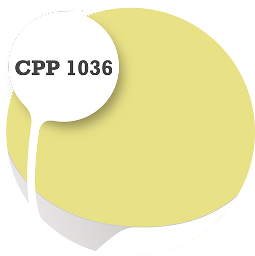 Cpp1036