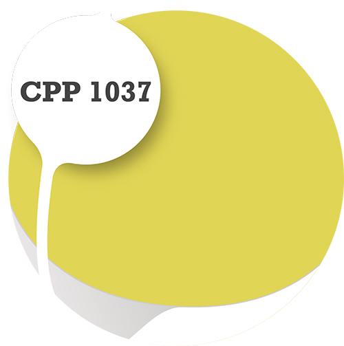 Cpp1037