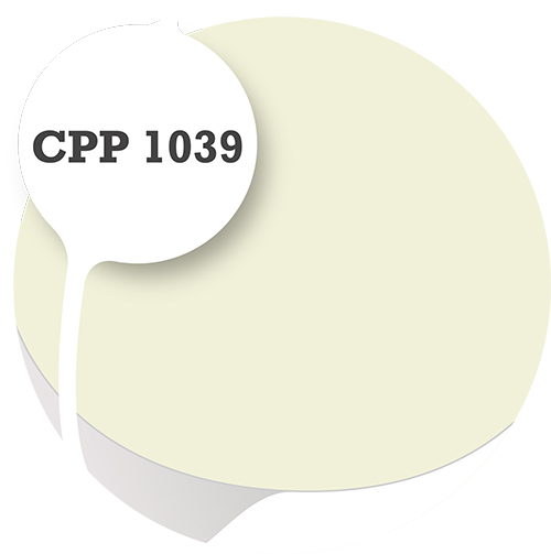 Cpp1039
