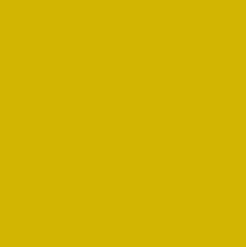 Cpp1035