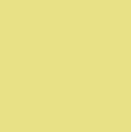 Cpp1036