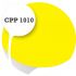 Cpp1010