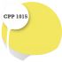 Cpp1015