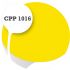 Cpp1016
