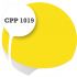 Cpp1019