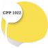 Cpp1022