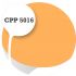 Cpp5016