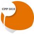 Cpp5018