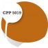 Cpp5019