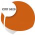 Cpp5020