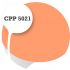 Cpp5021