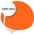 Cpp5022