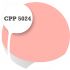 Cpp5024