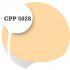 Cpp5028