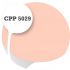 Cpp5029