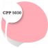 Cpp5030