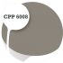 Cpp6008