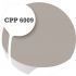 Cpp6009