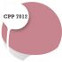 Cpp7012