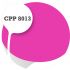 Cpp8013
