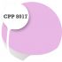 Cpp8017