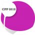 Cpp8018