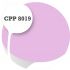 Cpp8019
