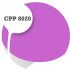 Cpp8020