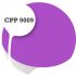 Cpp9009