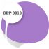 Cpp9013