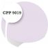 Cpp9019