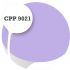Cpp9021